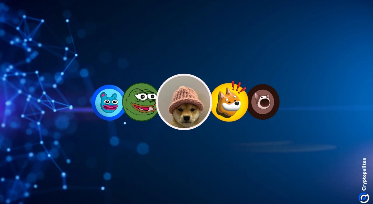 31% of US crypto holders own meme coins before Bitcoin or Ethreum