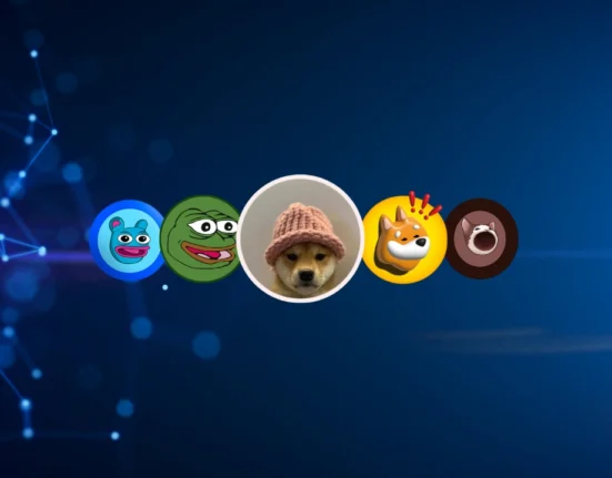 31% of US crypto holders own meme coins before Bitcoin or Ethreum