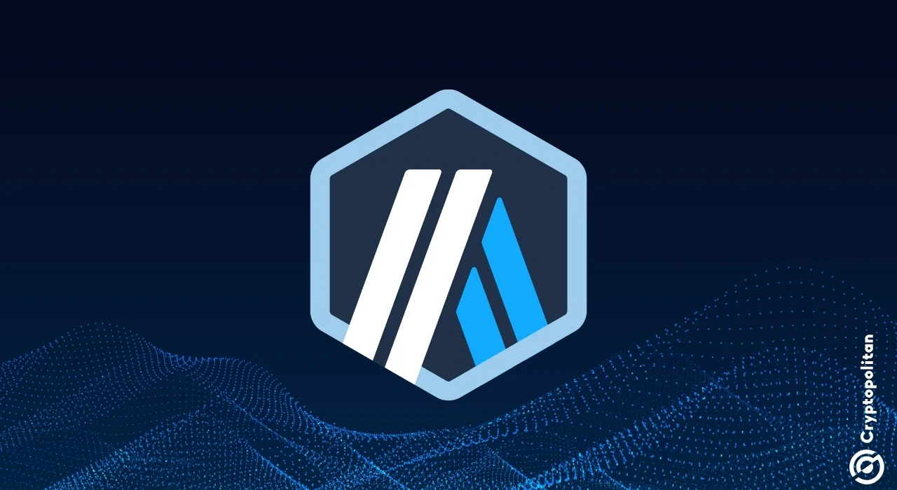Arbitrum offers as much as $100k per report to snitch on wasteful DAOs