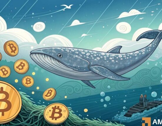 Bitcoin whale moves $206 mln as BTC holds firm above $100K