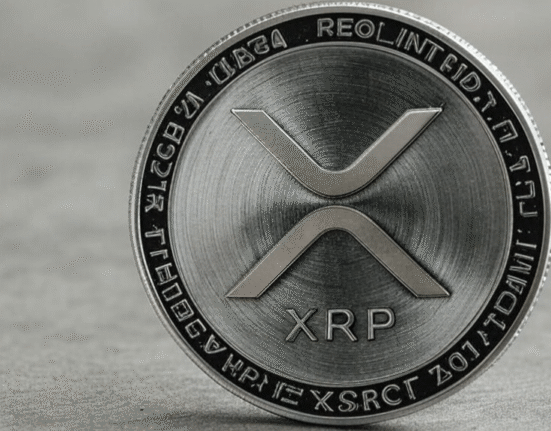 Internet Personality Dave Portnoy Issues Exciting XRP – Bitcoin Forecast