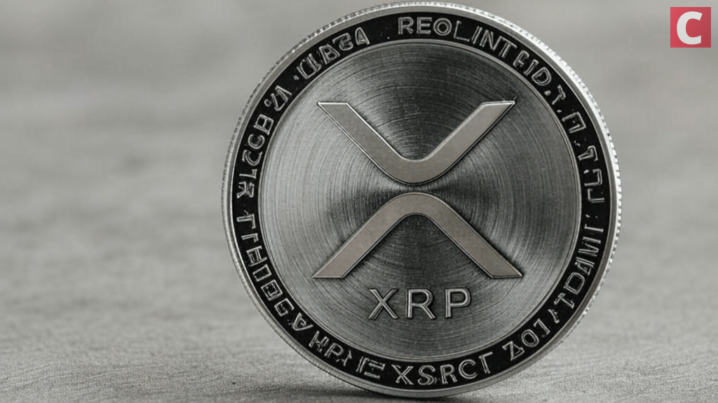 Internet Personality Dave Portnoy Issues Exciting XRP – Bitcoin Forecast