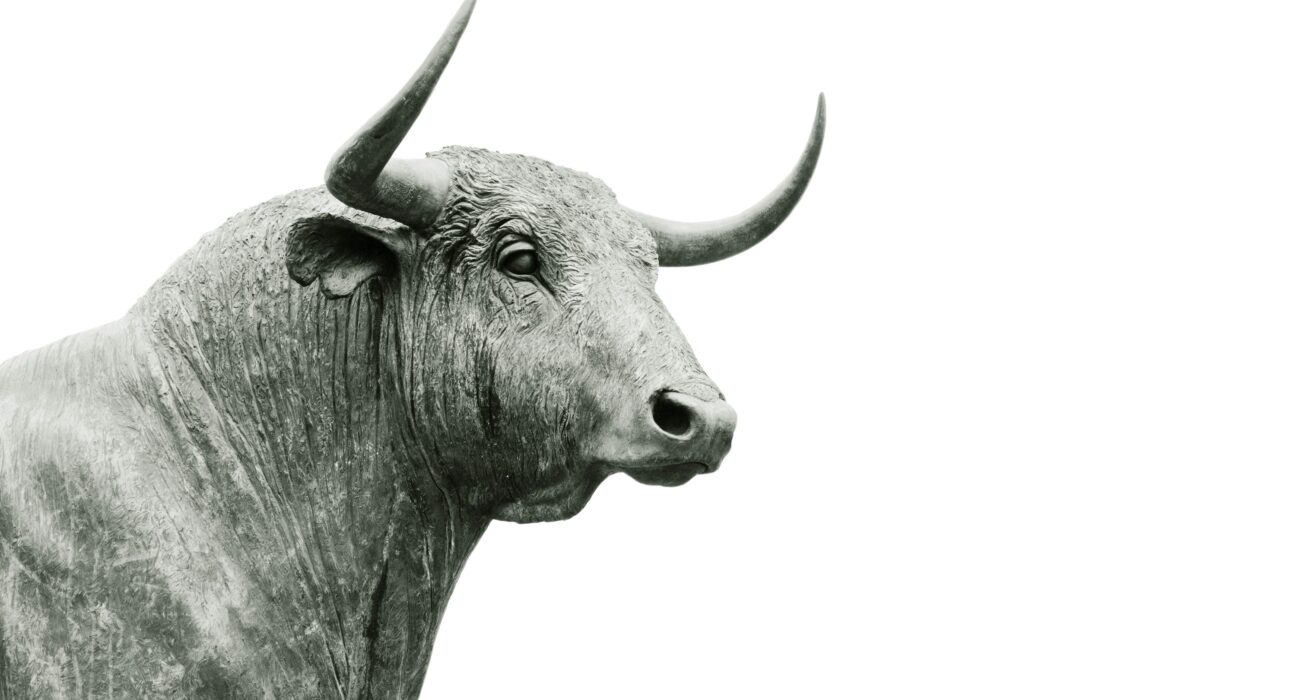 New XRP Rally Incoming? Analyst Believes This Cycle Is Unique