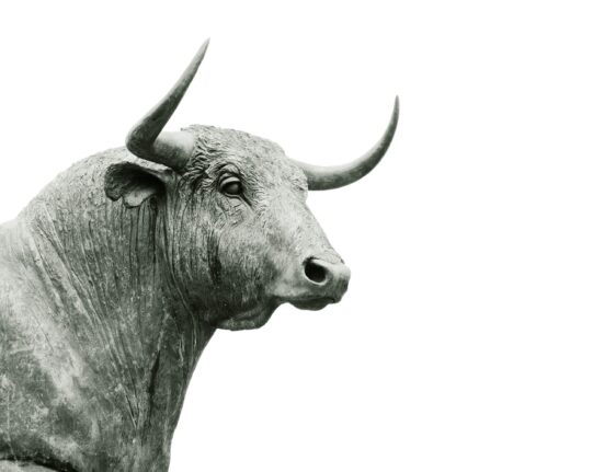 New XRP Rally Incoming? Analyst Believes This Cycle Is Unique