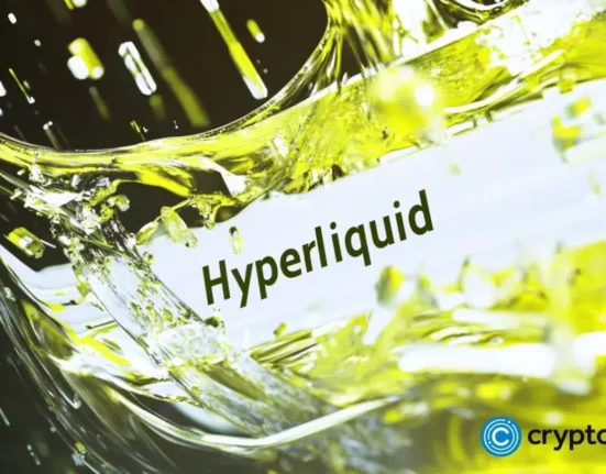 Hyperliquid coin forms bullish pennant as momentum builds: is a breakout imminent?