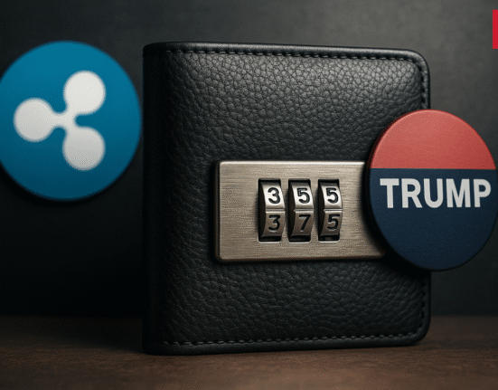 Ripple CTO Breaks Silence on Controversial TRUMP Wallet